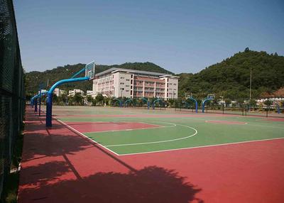 彈性硅PU球場地坪